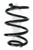 SPIDAN 86858 Coil Spring
